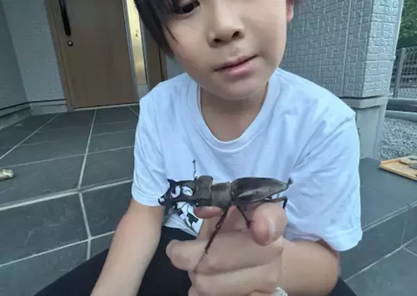 「ココリコ遠藤の妻、長男がクワガタ“串カツ 田中”死去に号泣」の画像