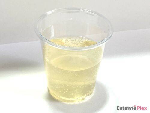 オルカンがまさかの缶ジュース、オル缶に！ その味わいをレポート