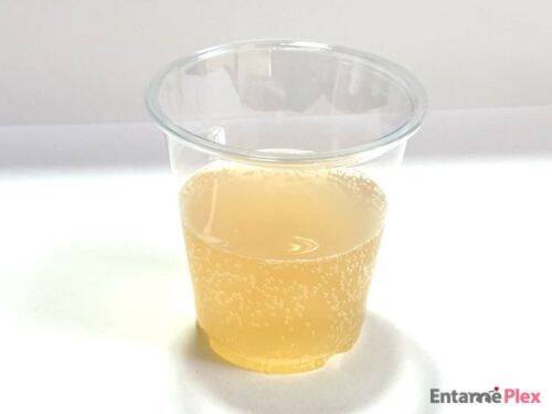 オルカンがまさかの缶ジュース、オル缶に！ その味わいをレポート