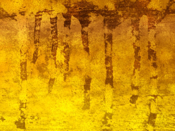 ブルゾンちえみ 全身 金ピカ 写真公開 神々しい 19年1月7日 エキサイトニュース