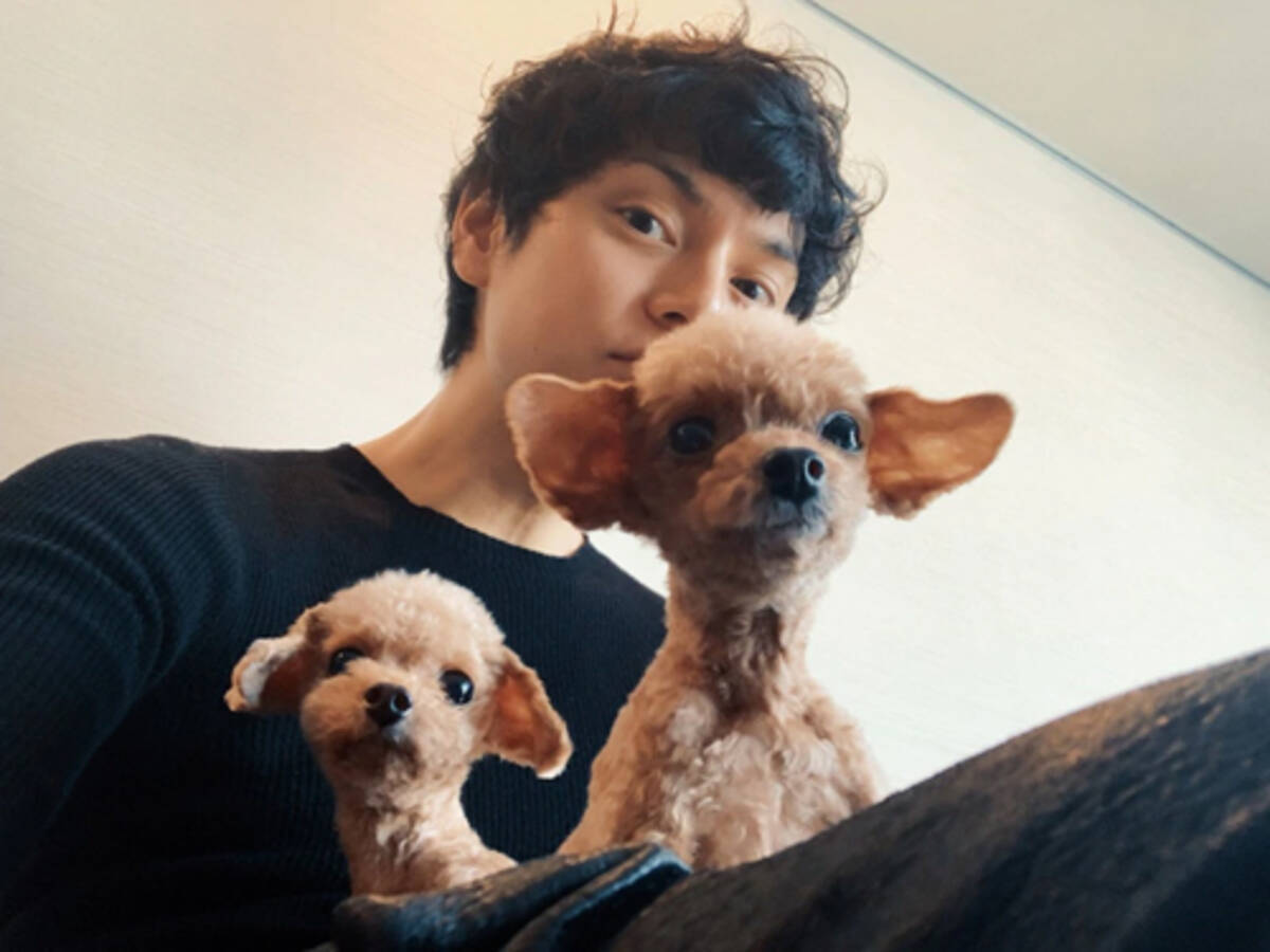水嶋ヒロ 愛犬との アフロ３兄弟 写真に そっくり 19年1月19日 エキサイトニュース