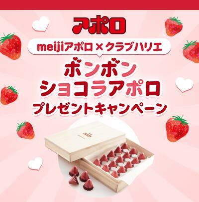 待望の“大人仕様”「アポロマイスタイル」が新発売！