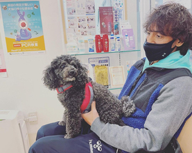 丸山桂里奈、夫・本並健治と愛犬すももの２ショット！