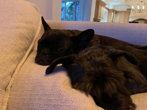 ダルビッシュ聖子、夫・有への想い＆尊敬するところ