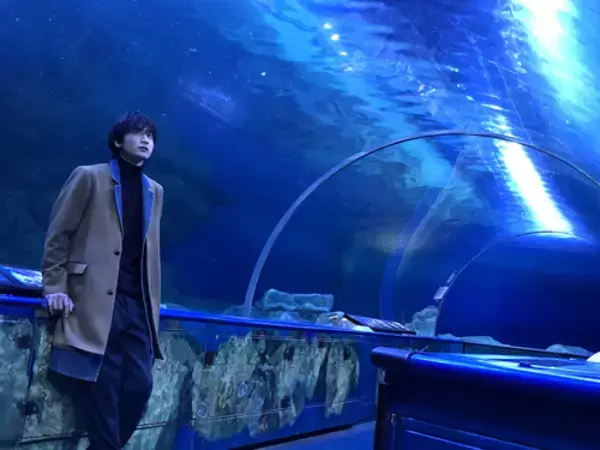 小関裕太、水族館で佇むだけで絵になる姿「完璧な癒し」