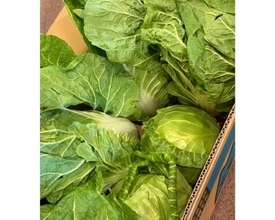 研ナオコ、長野から届いた段ボールいっぱいの貴重な葉物野菜に感謝