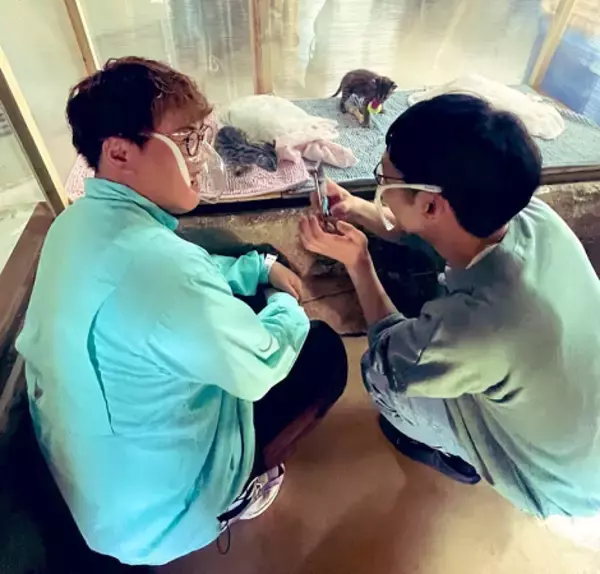 「丸山桂里奈、現役時代から思い続けていたこととは？」の画像