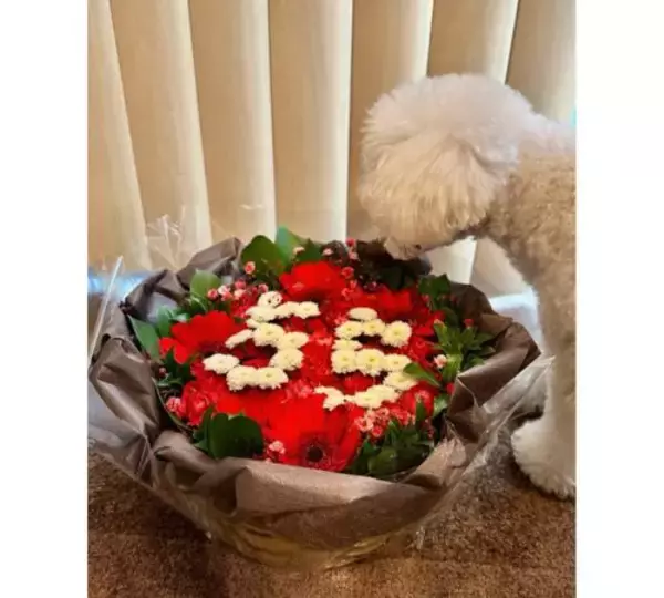 「研ナオコ、デビュー55周年迎え感謝＆回顧、デビュー時は…」の画像