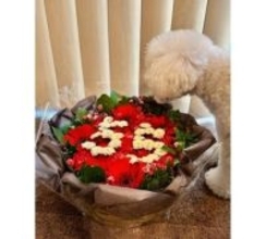 研ナオコ、デビュー55周年迎え感謝＆回顧、デビュー時は…