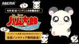 「とっとこハム太郎 はむはむぱらだいちゅ！、全話ノンストップ放送」の画像1