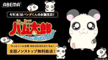 とっとこハム太郎 はむはむぱらだいちゅ！、全話ノンストップ放送