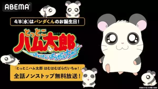とっとこハム太郎 はむはむぱらだいちゅ！、全話ノンストップ放送