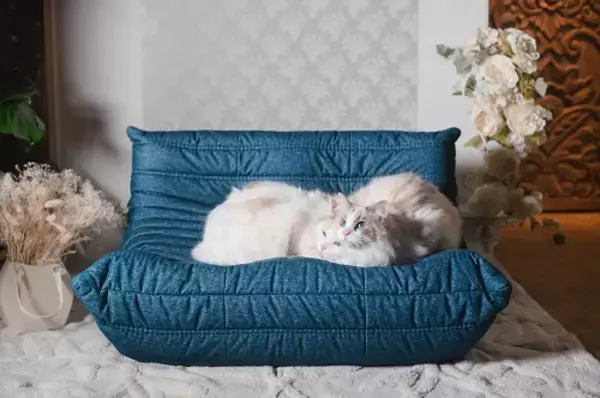 猫とくつろげるフランスのソファ「にゃんトーゴ」が発売