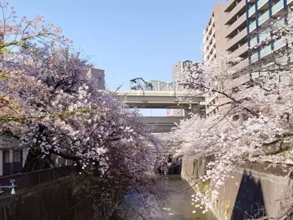 「日本初！ ピラティス付き「リカバリーマンション」誕生」の画像