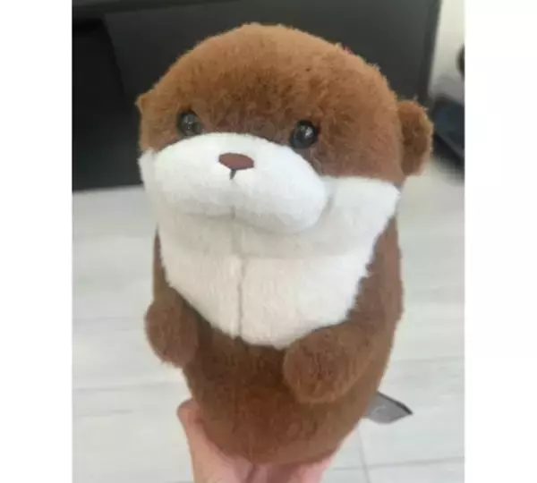 「ココリコ遠藤の妻、８歳次男の手術を前に母心明かす」の画像