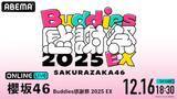 「『櫻坂46 Buddies感謝祭 2025 EX』ABEMA PPVで生放送」の画像1