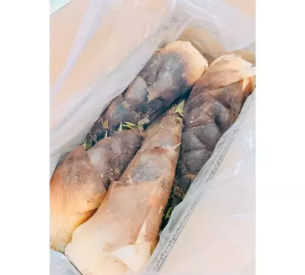 「渡辺美奈代、大量の筍のあく抜き→筍尽くし料理披露」の画像