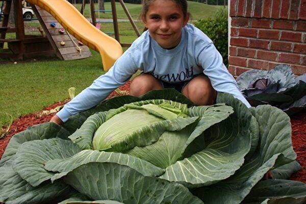 巨大なキャベツを育てた9歳の小学生 全国100か所の菜園を持つ女性に成長 18年10月14日 エキサイトニュース