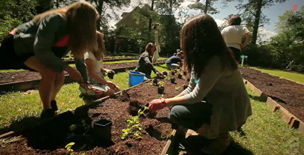 巨大なキャベツを育てた9歳の小学生 全国100か所の菜園を持つ女性に成長 18年10月14日 エキサイトニュース