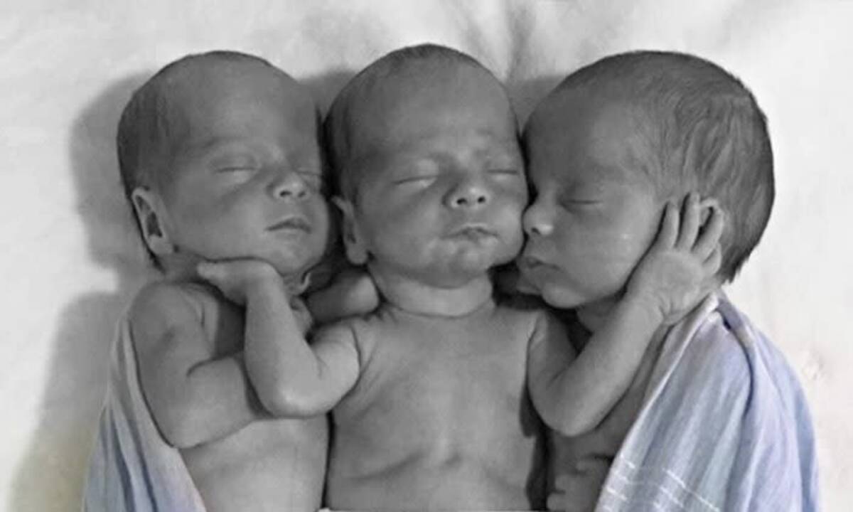 三つ子の誕生 Dnaテストの結果にびっくり仰天 19年7月9日 エキサイトニュース
