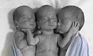 三つ子の誕生　－　DNAテストの結果にびっくり仰天
