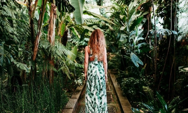 知らざる身近な植物の効果 アロエ 19年2月7日 エキサイトニュース