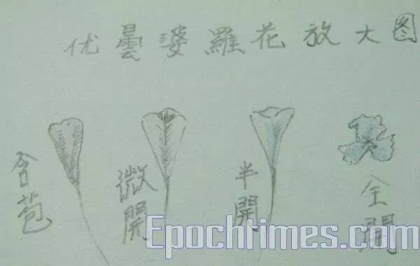 竹取物語 に秘められた謎 一 19年8月16日 エキサイトニュース 2 2