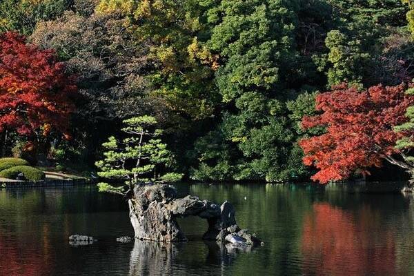 都会のオアシス 東京で見られる日本庭園6選 年4月28日 エキサイトニュース