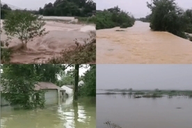 江蘇省、太湖で全流域が大洪水　最高レベル警報を発令
