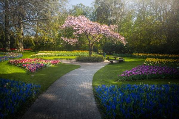 花の国オランダ 写真家が撮った世界で最も美しい花畑 年7月24日 エキサイトニュース