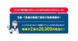 「ワイモバイルで「U18増額キャンペーン」開始、PayPayポイント2万円相当を付与」の画像1