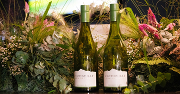 ワインファンの間で大人気! 「クラウディーベイ ソーヴィニョン・ブラン」2025年ヴィンテージの味わいは?