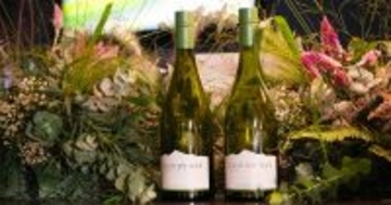 ワインファンの間で大人気! 「クラウディーベイ ソーヴィニョン・ブラン」2025年ヴィンテージの味わいは?