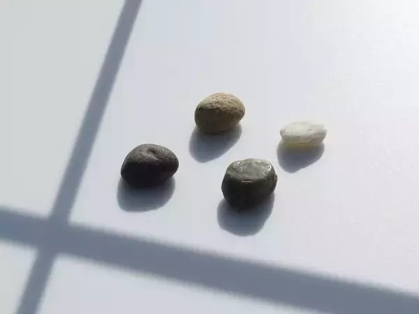 窓辺の小石 第255回 PC・ファクター