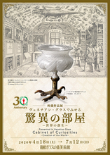 箱根ガラスの森美術館、所蔵作品展「ヴェネチアン・グラスでみせる驚異の部屋 ～世界の創生～」開催決定