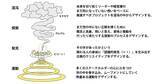 「電通、未来価値創造支援サービス「FUTURE CREATIVE LEAD」を本格提供」の画像1