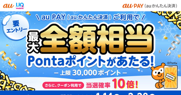 au PAY（auかんたん決済）で最大全額ポイント還元、2月28日まで
