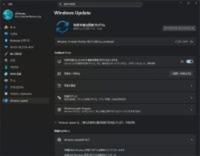 Windows Insider Preview、Canaryチャネル内で2つに分裂 - Biuld 29500シリーズが選択できるように