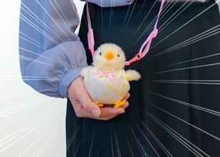 【おぱんつ式とは】ぬい活捗る! 吉徳「ひよこ」専用ホルダー登場! - 「天才……ｯｯｯ 可愛いーーーーー!」「名前が最高!」と話題