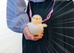 【おぱんつ式とは】ぬい活捗る! 吉徳「ひよこ」専用ホルダー登場! - 「天才……ｯｯｯ 可愛いーーーーー!」「名前が最高!」と話題