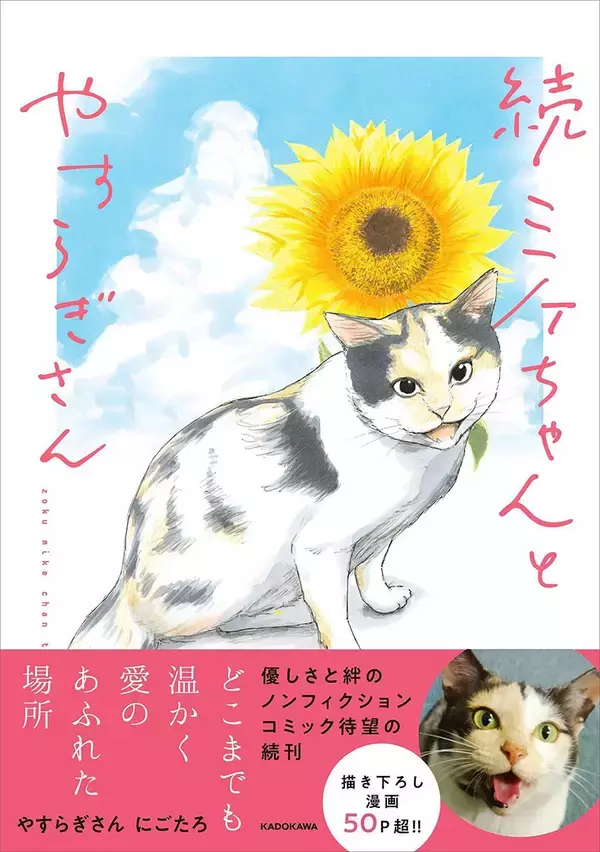 ミケちゃんが紡ぐ優しさと絆のノンフィクション──『続 ミケちゃんとやすらぎさん』発売