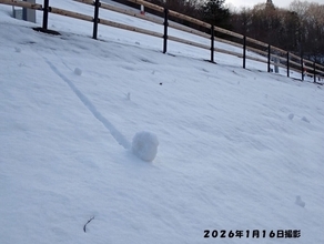 【レア現象】宮城県・鳴子ダムに「雪まくり」出現!! -「伊達巻みたいwかわいいw」「野生のロールケーキです」と話題
