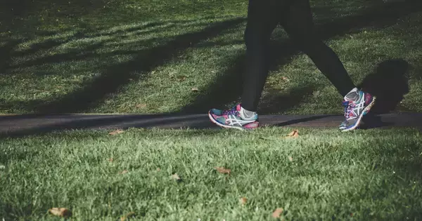 筋トレじゃなくてもいい…研究でわかった脳を元気にする運動とは