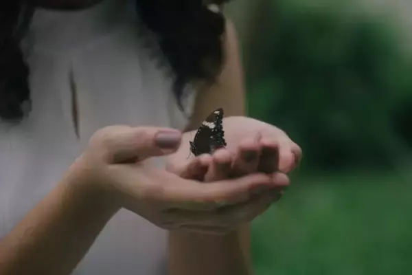 「【幸運の前兆？】なぜか蝶が寄ってくる人のスピリチュアルサイン6つ」の画像