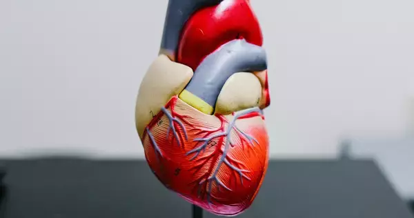 心臓病になりにくい血液型は何型? 血液型で発症リスクが異なる、医学的な理由とは