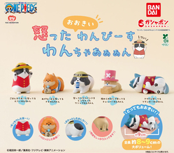 【ワンピース】ワンコになっちゃった麦わら一味の新作ガシャポンに「めっちゃかわいい」「クルー全員欲しい」とファン大興奮