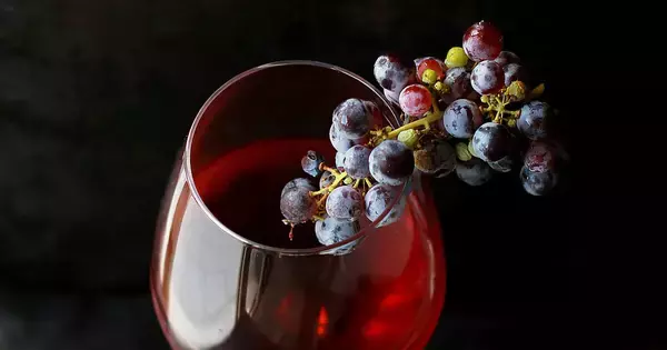 Xで話題の「ワインって、ぶどうジュースの一番美味しいやつだと思ってた」問題にプロが真剣回答してみた