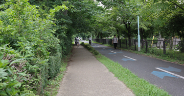 大人のインフラ紀行 第33回 ひたすら“まっすぐ”な理由は? 東京・東村山市の「多摩湖自転車歩行者道」を歩く