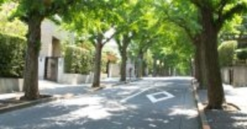 高級住宅街・田園調布に“空き地”が増加、憧れの街を縛る“建築ルールと相続”の現実