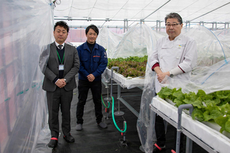 仙台市沿岸部の震災跡地を小規模施設園芸に利活用 - 「深沼うみのひろば」で水耕栽培に挑戦